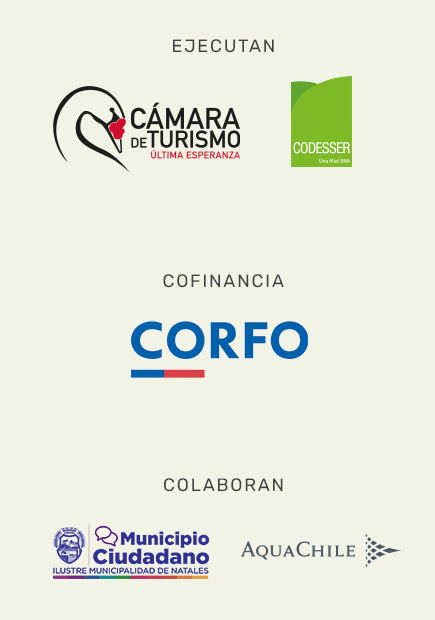 Logos Instituciones que participaron en el proyecto.